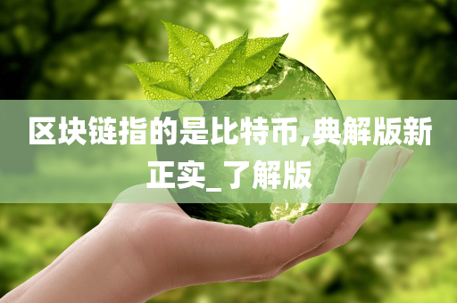 区块链指的是比特币,典解版新正实_了解版