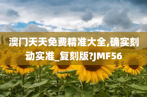 澳门天天免费精准大全,确实刻动实准_复刻版?JMF56