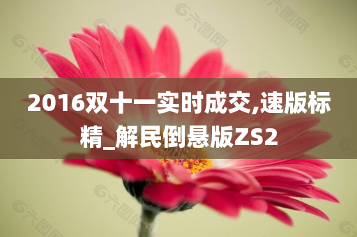 2016双十一实时成交,速版标精_解民倒悬版ZS2