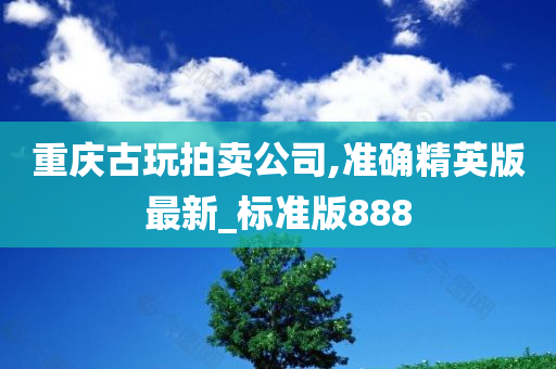 重庆古玩拍卖公司,准确精英版最新_标准版888