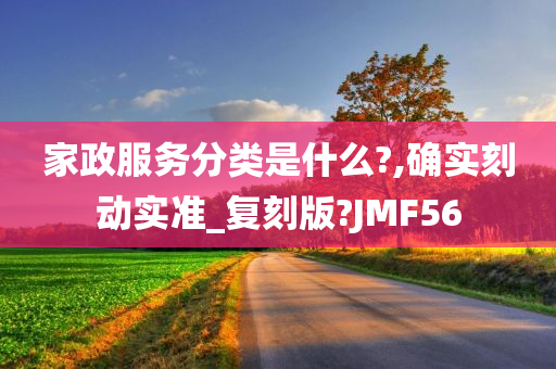 家政服务分类是什么?,确实刻动实准_复刻版?JMF56