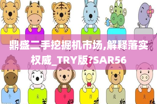 鼎盛二手挖掘机市场,解释落实权威_TRY版?SAR56