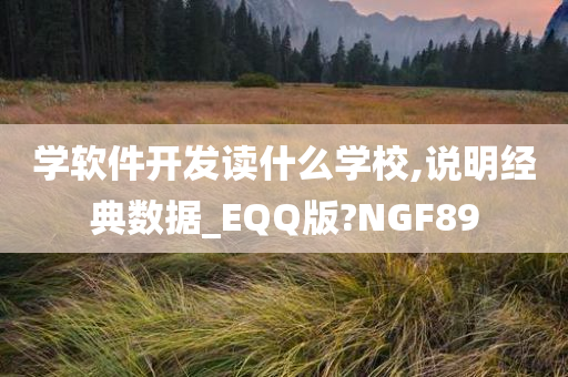 学软件开发读什么学校,说明经典数据_EQQ版?NGF89