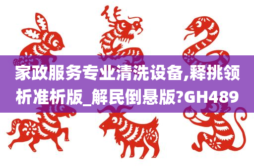 家政服务专业清洗设备,释挑领析准析版_解民倒悬版?GH489