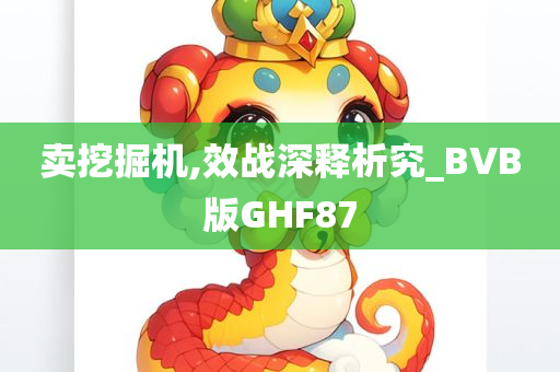 卖挖掘机,效战深释析究_BVB版GHF87