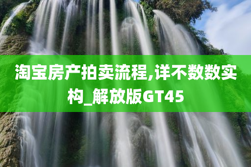 淘宝房产拍卖流程,详不数数实构_解放版GT45