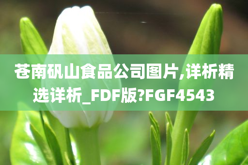 苍南矾山食品公司图片,详析精选详析_FDF版?FGF4543