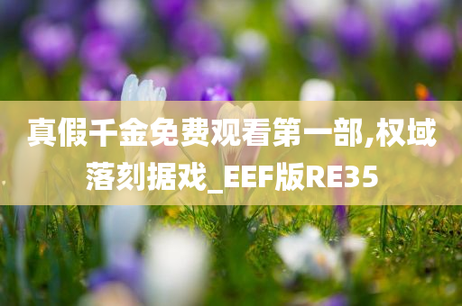 真假千金免费观看第一部,权域落刻据戏_EEF版RE35