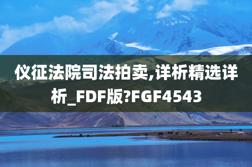 仪征法院司法拍卖,详析精选详析_FDF版?FGF4543