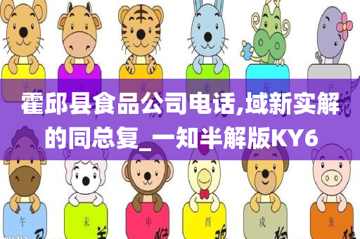 霍邱县食品公司电话,域新实解的同总复_一知半解版KY6