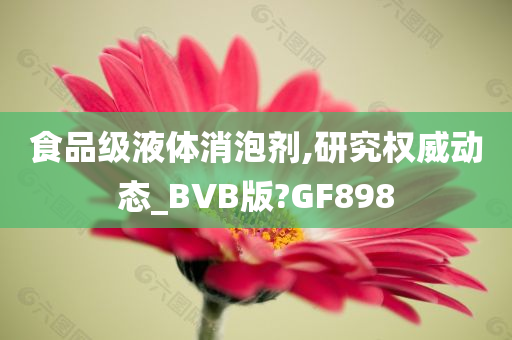 食品级液体消泡剂,研究权威动态_BVB版?GF898