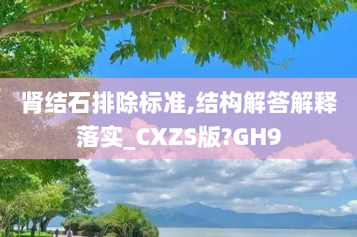 肾结石排除标准,结构解答解释落实_CXZS版?GH9