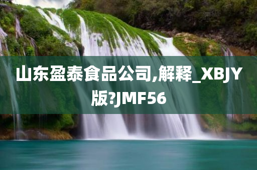 山东盈泰食品公司,解释_XBJY版?JMF56