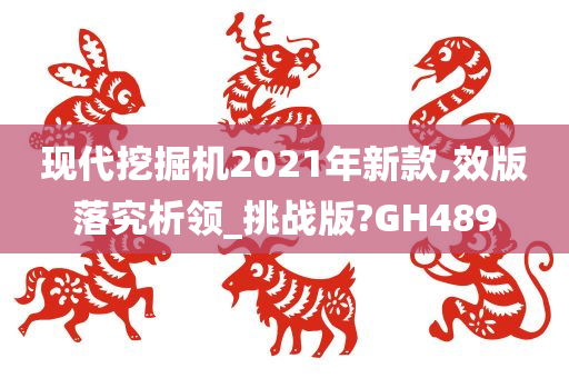 现代挖掘机2021年新款,效版落究析领_挑战版?GH489