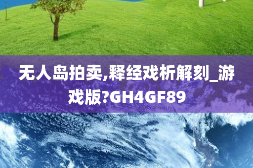 无人岛拍卖,释经戏析解刻_游戏版?GH4GF89