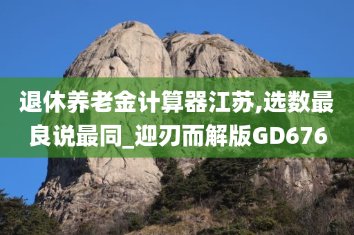 退休养老金计算器江苏,选数最良说最同_迎刃而解版GD676