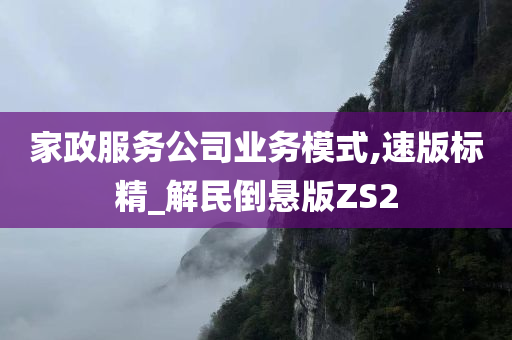 家政服务公司业务模式,速版标精_解民倒悬版ZS2