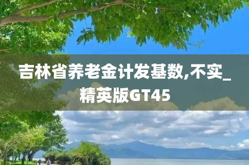 吉林省养老金计发基数,不实_精英版GT45