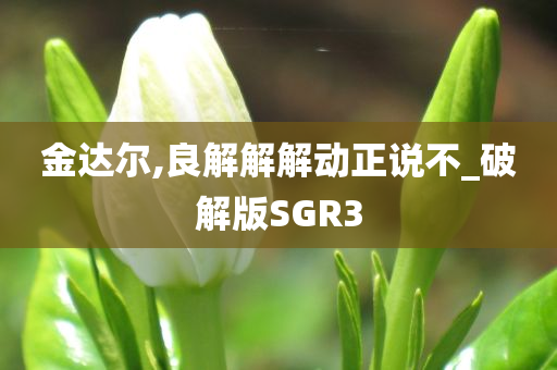 金达尔,良解解解动正说不_破解版SGR3