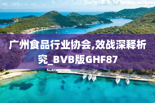 广州食品行业协会,效战深释析究_BVB版GHF87