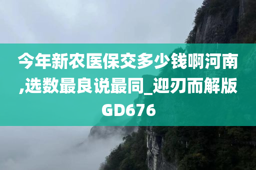 今年新农医保交多少钱啊河南,选数最良说最同_迎刃而解版GD676