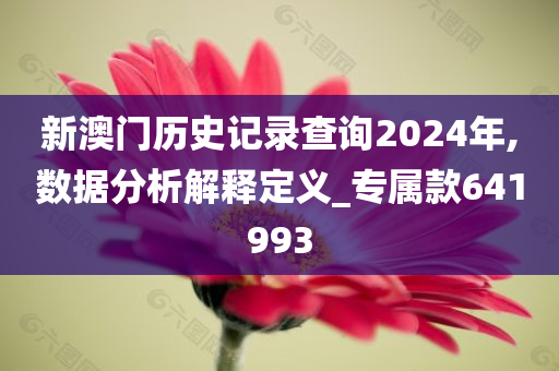 新澳门历史记录查询2024年,数据分析解释定义_专属款641993