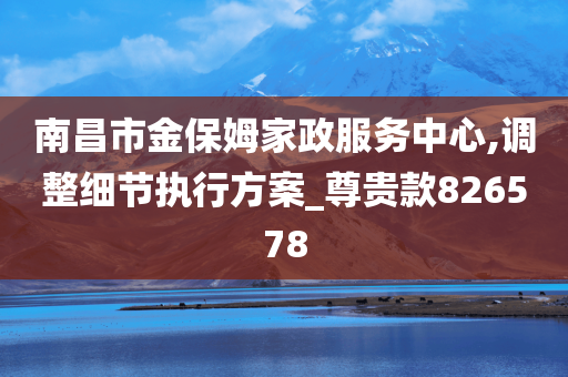 南昌市金保姆家政服务中心,调整细节执行方案_尊贵款826578