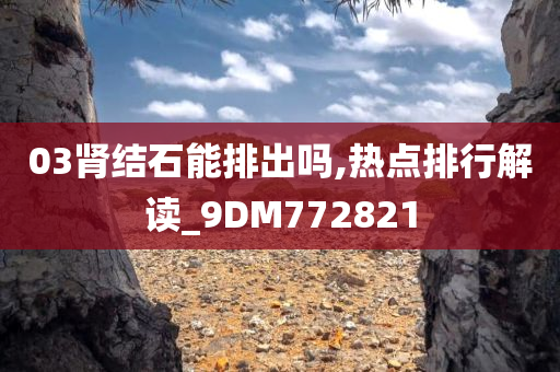 03肾结石能排出吗,热点排行解读_9DM772821