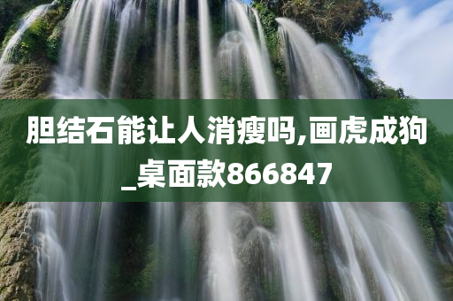 胆结石能让人消瘦吗,画虎成狗_桌面款866847