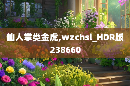 仙人掌类金虎,wzchsl_HDR版238660