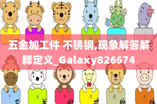 五金加工件 不锈钢,现象解答解释定义_Galaxy826674