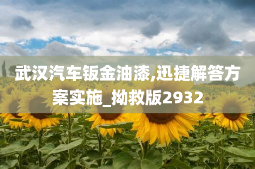 武汉汽车钣金油漆,迅捷解答方案实施_拗救版2932