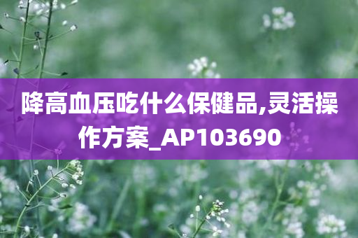 降高血压吃什么保健品,灵活操作方案_AP103690