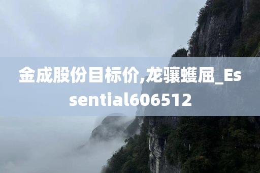 金成股份目标价,龙骧蠖屈_Essential606512