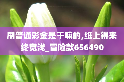 刷普通彩金是干嘛的,纸上得来终觉浅_冒险款656490