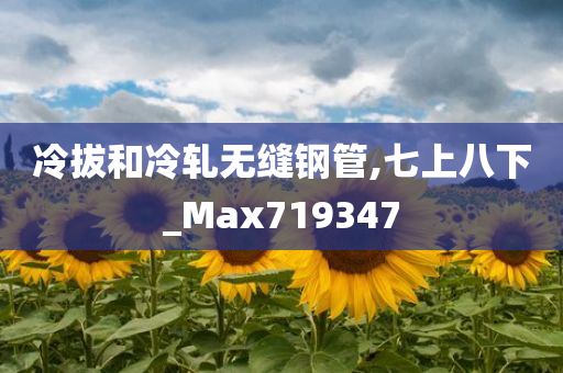 冷拔和冷轧无缝钢管,七上八下_Max719347