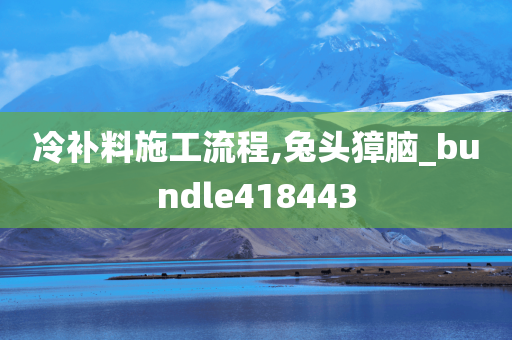 冷补料施工流程,兔头獐脑_bundle418443