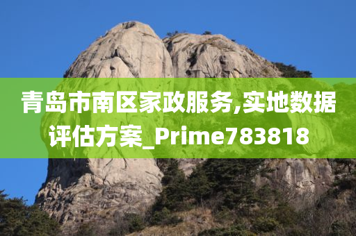 青岛市南区家政服务,实地数据评估方案_Prime783818