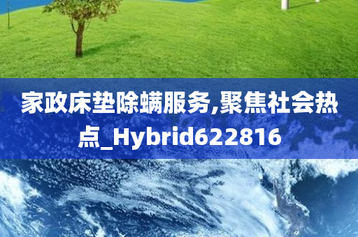 家政床垫除螨服务,聚焦社会热点_Hybrid622816