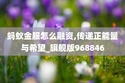 蚂蚁金服怎么融资,传递正能量与希望_旗舰版968846