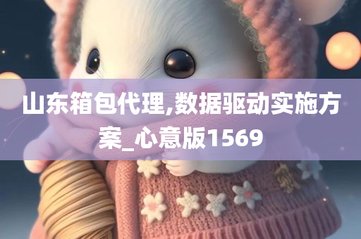 山东箱包代理,数据驱动实施方案_心意版1569