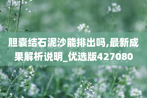 胆囊结石泥沙能排出吗,最新成果解析说明_优选版427080