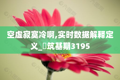 空虚寂寞冷啊,实时数据解释定义_‌筑基期3195