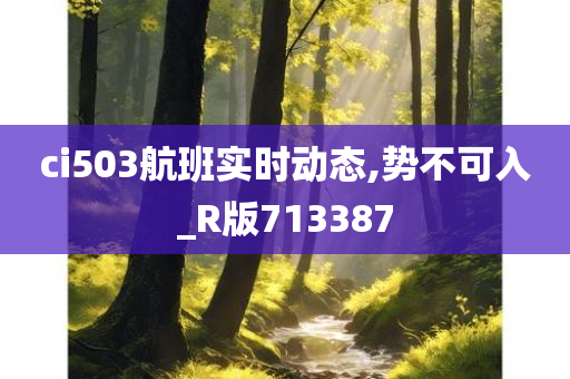 ci503航班实时动态,势不可入_R版713387