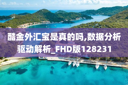 酷金外汇宝是真的吗,数据分析驱动解析_FHD版128231