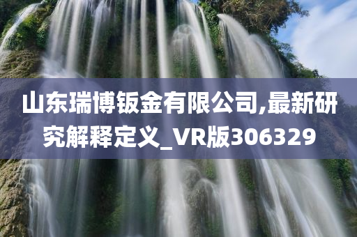 山东瑞博钣金有限公司,最新研究解释定义_VR版306329