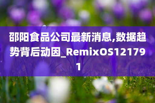 邵阳食品公司最新消息,数据趋势背后动因_RemixOS121791