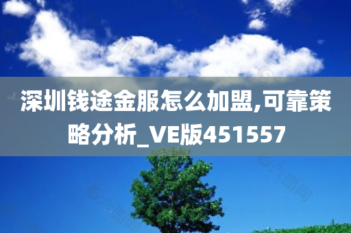 深圳钱途金服怎么加盟,可靠策略分析_VE版451557