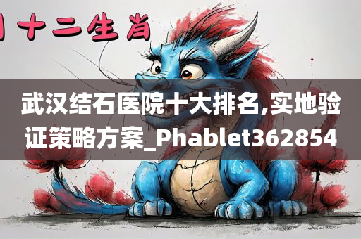 武汉结石医院十大排名,实地验证策略方案_Phablet362854