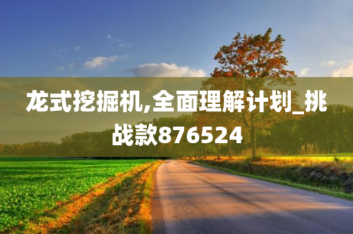 龙式挖掘机,全面理解计划_挑战款876524